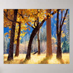 Yosemite National Park Poster