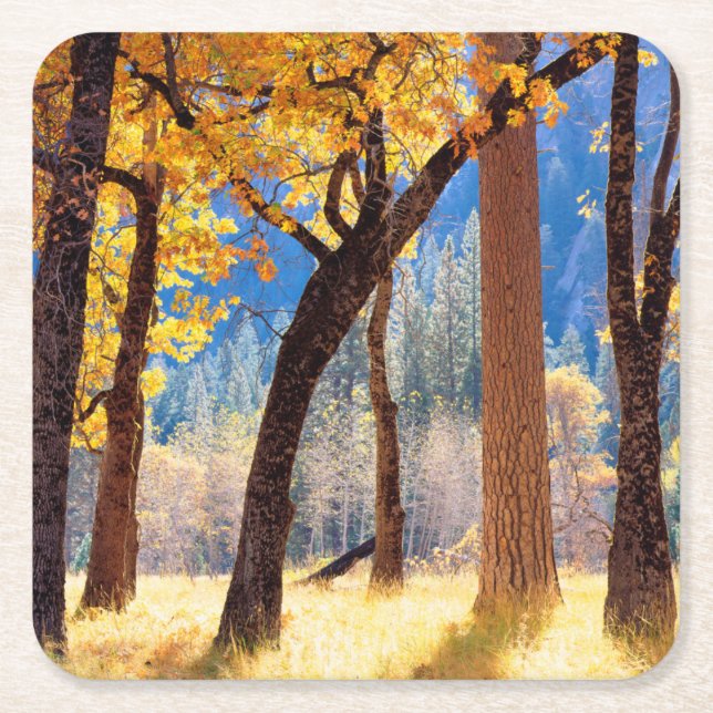 Yosemite National Park Square Paper Coaster (Front)