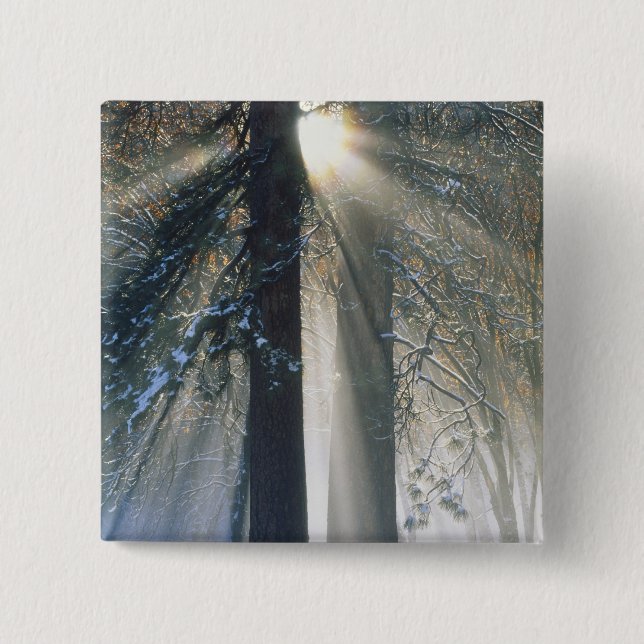 Yosemite National Park - Sun rays streaming 15 Cm Square Badge (Front)