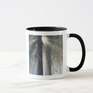 Yosemite National Park - Sun rays streaming Mug