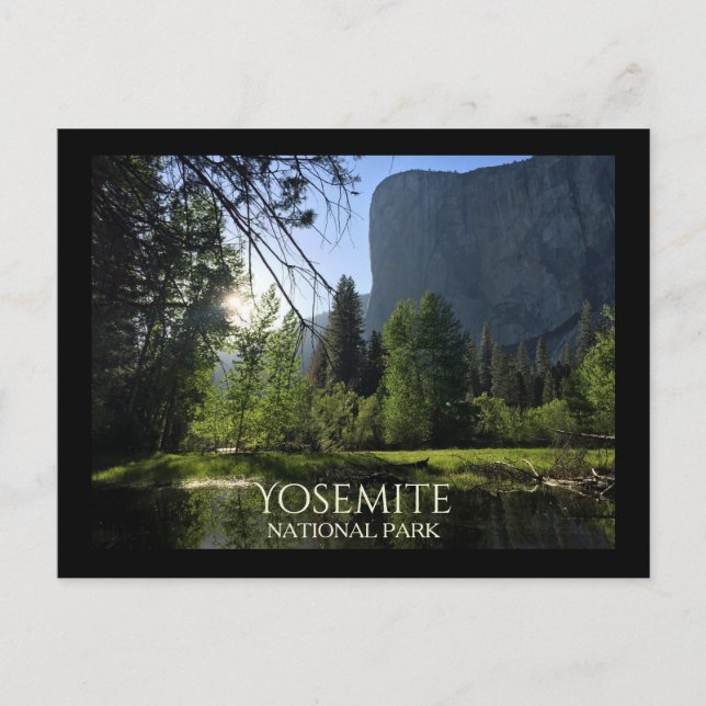 Yosemite National Park Tourist Postcard (Front)
