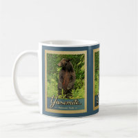 Yosemite National Park Vintage Bear