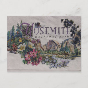 Yosemite National Park Wildlife Postcard