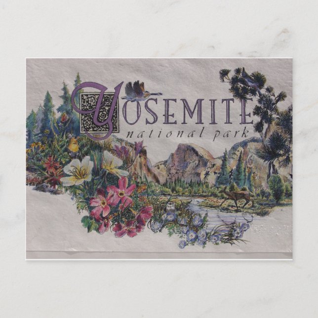 Yosemite National Park Wildlife Postcard (Front)