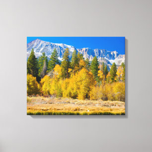 Yosemite National Park's Tioga Pass Canvas Print
