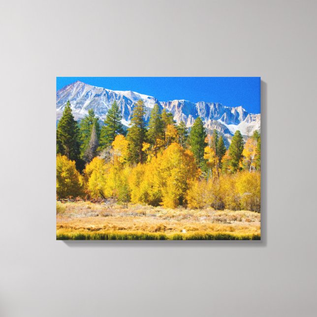 Yosemite National Park's Tioga Pass Canvas Print (Front)