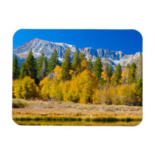 Yosemite National Park's Tioga Pass Magnet