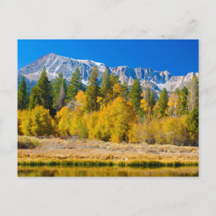 Yosemite National Park's Tioga Pass Postcard
