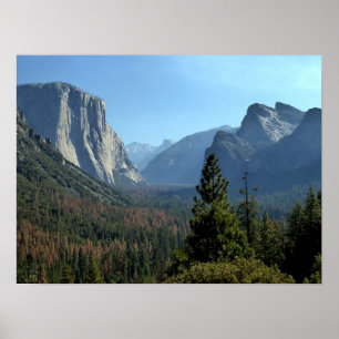 Yosemite Park landscape scenery Poster