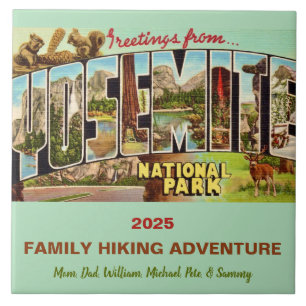 Yosemite Park Memory Tile