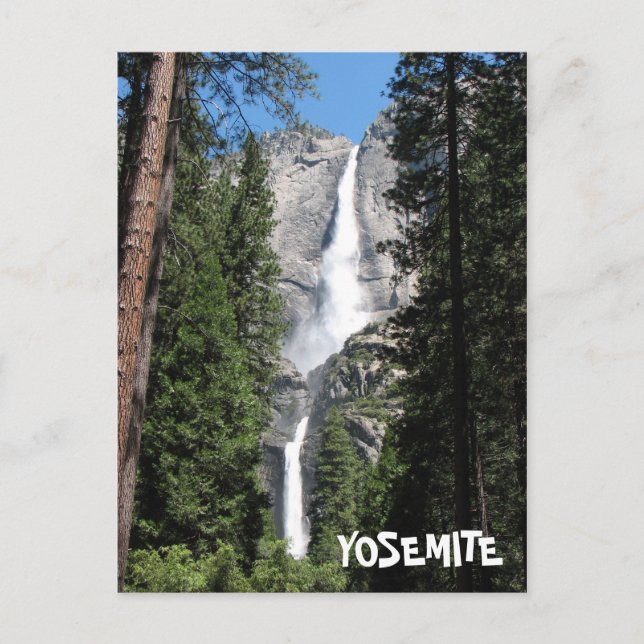 Yosemite Postcard! Postcard (Front)