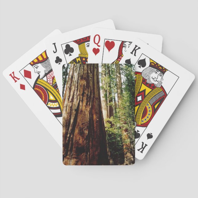 Yosemite Redwoods Playing Cards (Back)