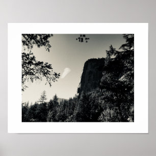 Yosemite Treeview Black and White Poster