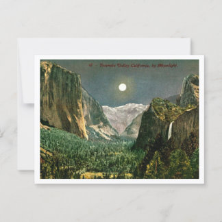 Yosemite Valley by Moonlight 1910s Postcard