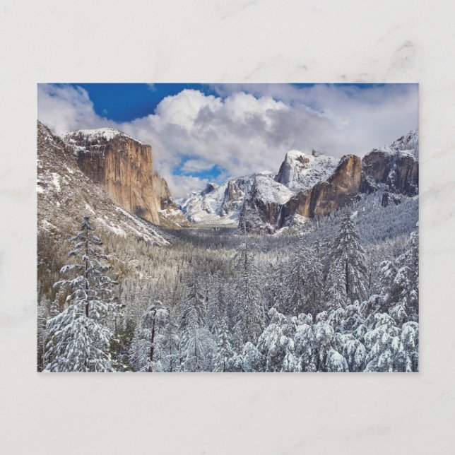 Yosemite Valley in Snow Postcard (Front)