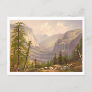 Yosemite Valley Vintage Prang Lithograph Postcard
