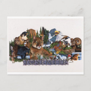 Yosemite Wildlife Postcard