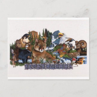 Yosemite Wildlife Postcard