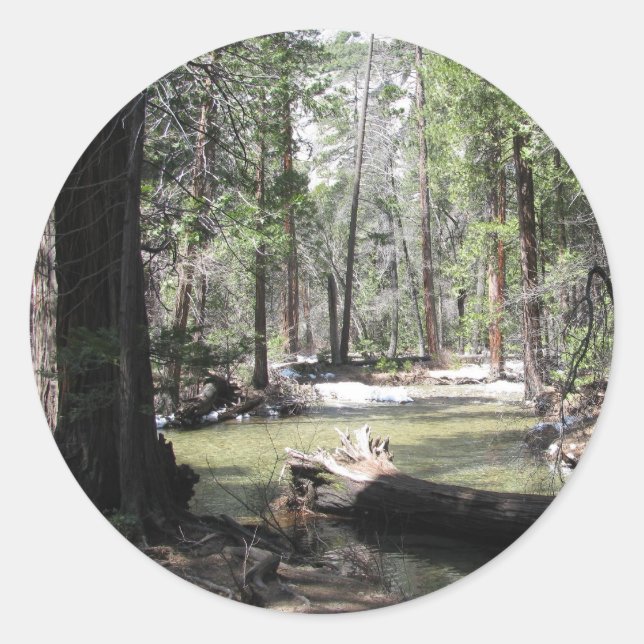 Yosemite Woods Classic Round Sticker (Front)