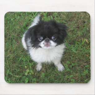 Yoshi Mouse Mat