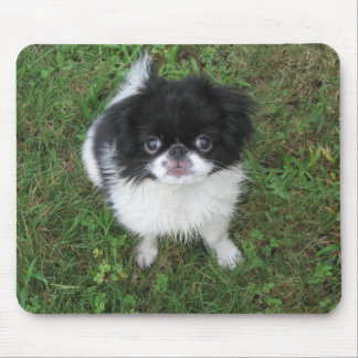 Yoshi Mouse Mat