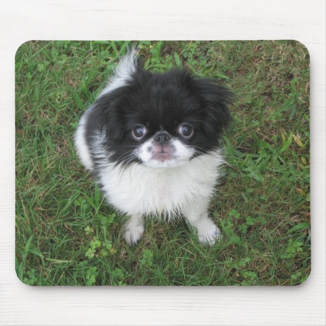 Yoshi Mouse Mat (Front)