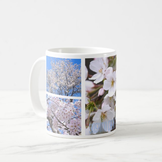 Yoshino Cherry Mug (Front Left)