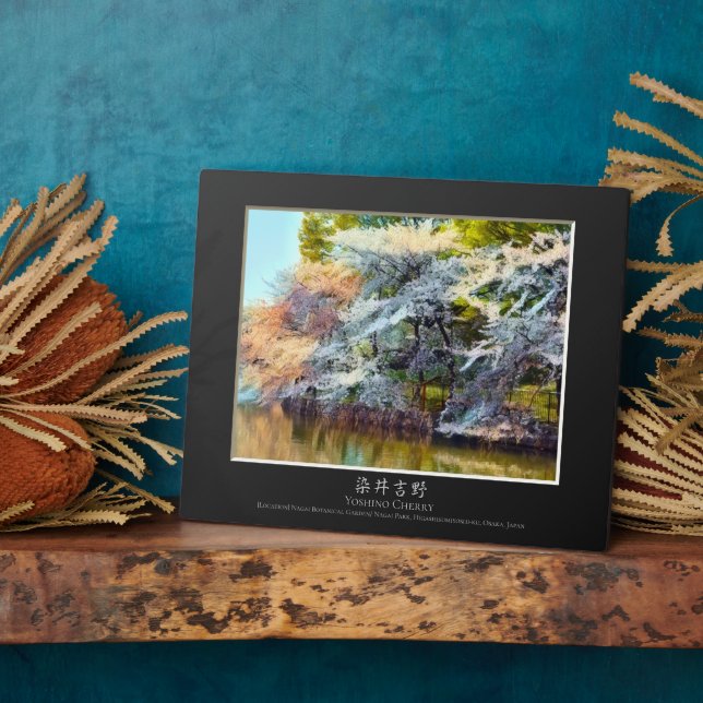 Yoshino Cherry Plaque (Side)