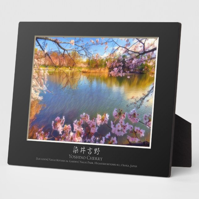 Yoshino Cherry Plaque (Side)