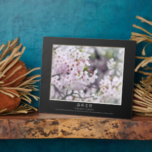 Yoshino Cherry Plaque