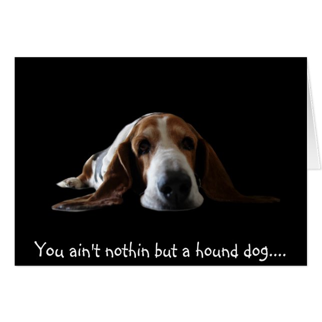 You ain't nothin but a hound dog (Front Horizontal)