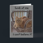 YOU ARE "12 YEARS OLD" SAYS SURPRISED CAT CARD<br><div class="desc">THANKS FOR STOPPING BY ONE OF MY EIGHT STORES!! GREAT FOR THE **YOUNG BOY OR GIRL IN YOUR LIFE**!!!!</div>