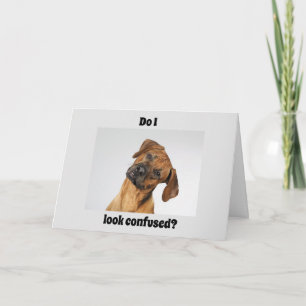 YOU are "16" SAYS AN IMPORTANT BIRTHDAY! Card