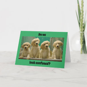 YOU are "16" SAYS CONFUSED PUPPIES? Card