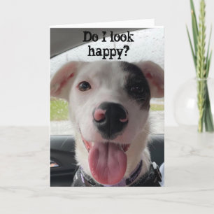 YOU ARE **60** MAKES ME HAPPY OF COURSE CARD