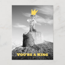You are a King