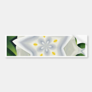 You Are A Star Bumper Sticker
