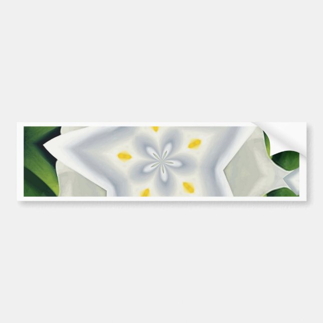 You Are A Star Bumper Sticker (Front)