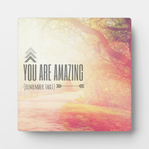 You Are Amazing Plaque