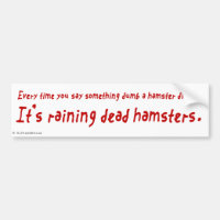 You are an Idiot (Dead Hamster)
