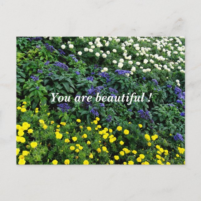 You are beautiful Garden Photo Postcard (Front)
