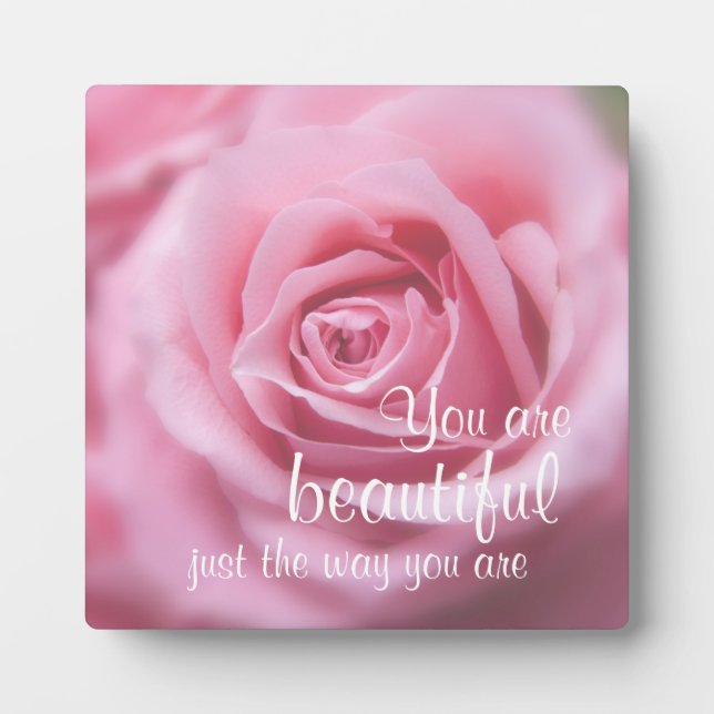You Are Beautiful Just The Way You Are & Pink Rose Plaque (Front)