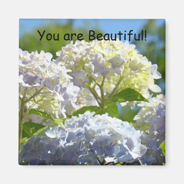 You are Beautiful! magnet Sunlit Hydrangea Flowers (Front)