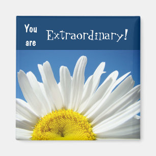 You are Extraordinary! magnets Blue Sky Daisy