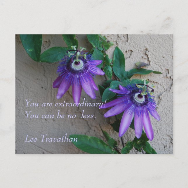 You are extraordinary. You can be no less. Postcard (Front)