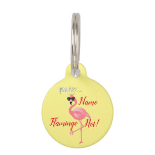 You Are Flamingo Hot Thunder_Cove Pet Tag