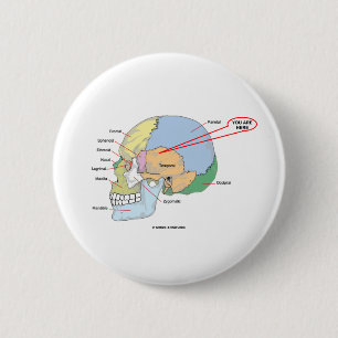 You Are Here (Brain Temporal Region Anatomical) 6 Cm Round Badge