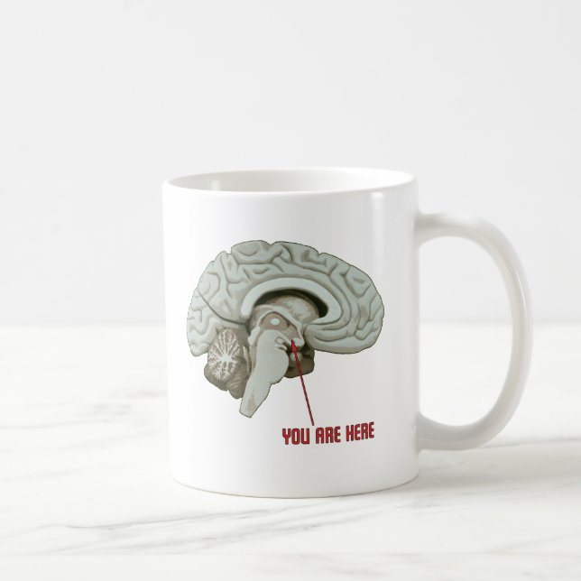 You Are Here Coffee Mug (Right)