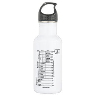 You Are Here (Geological Age Earth's History) 532 Ml Water Bottle
