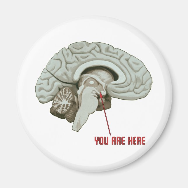 You Are Here Magnet (Front)